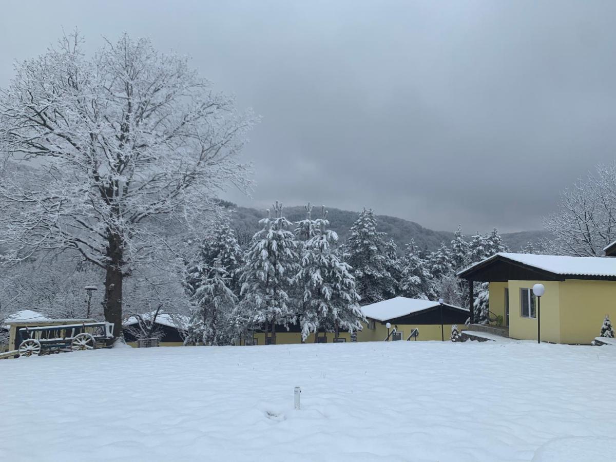 Guest House Daskalov Chervena Lokva Zewnętrze zdjęcie